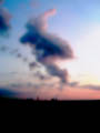 Wittenham Clumps (vii)